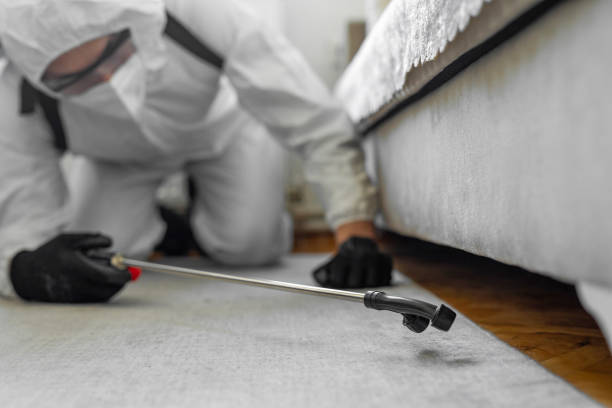 Professional Bed Bug Control technician working in Corydon, IN